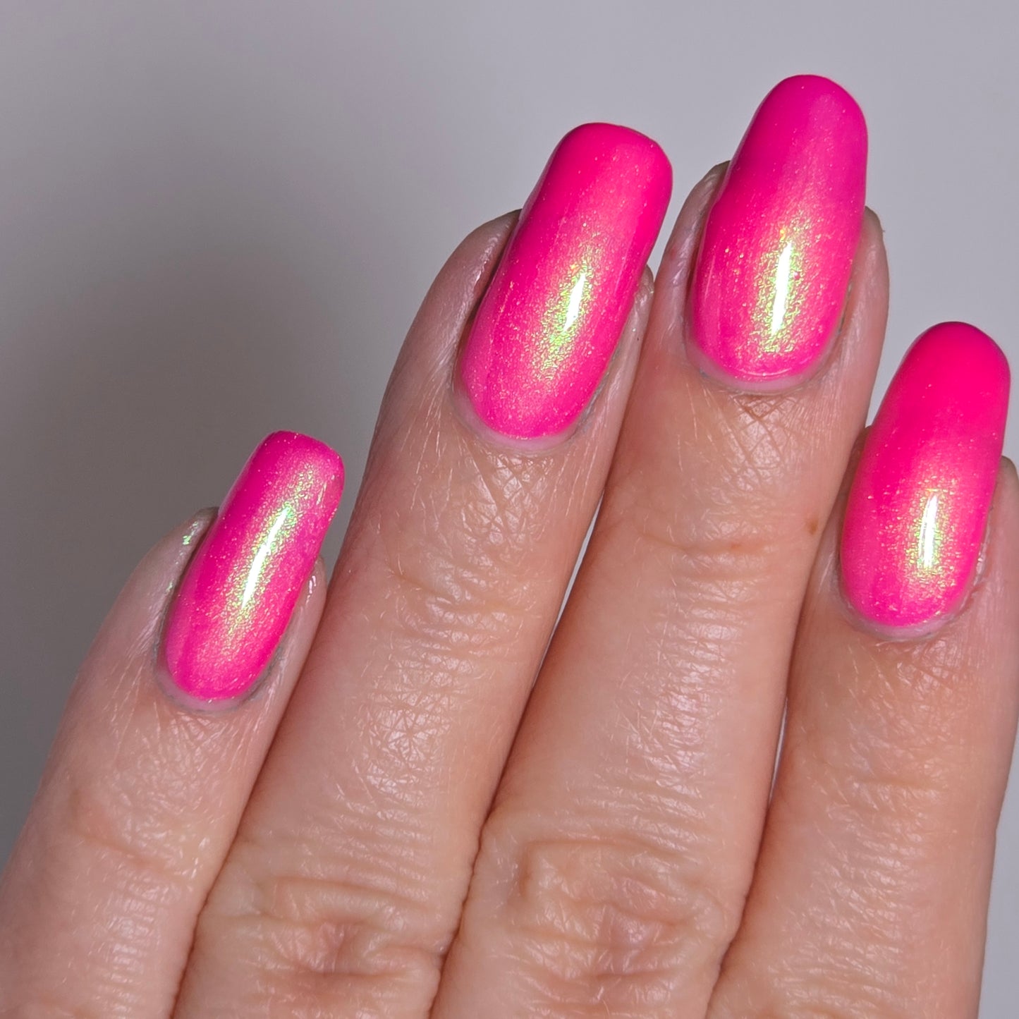 Hot Cordyceps Summer