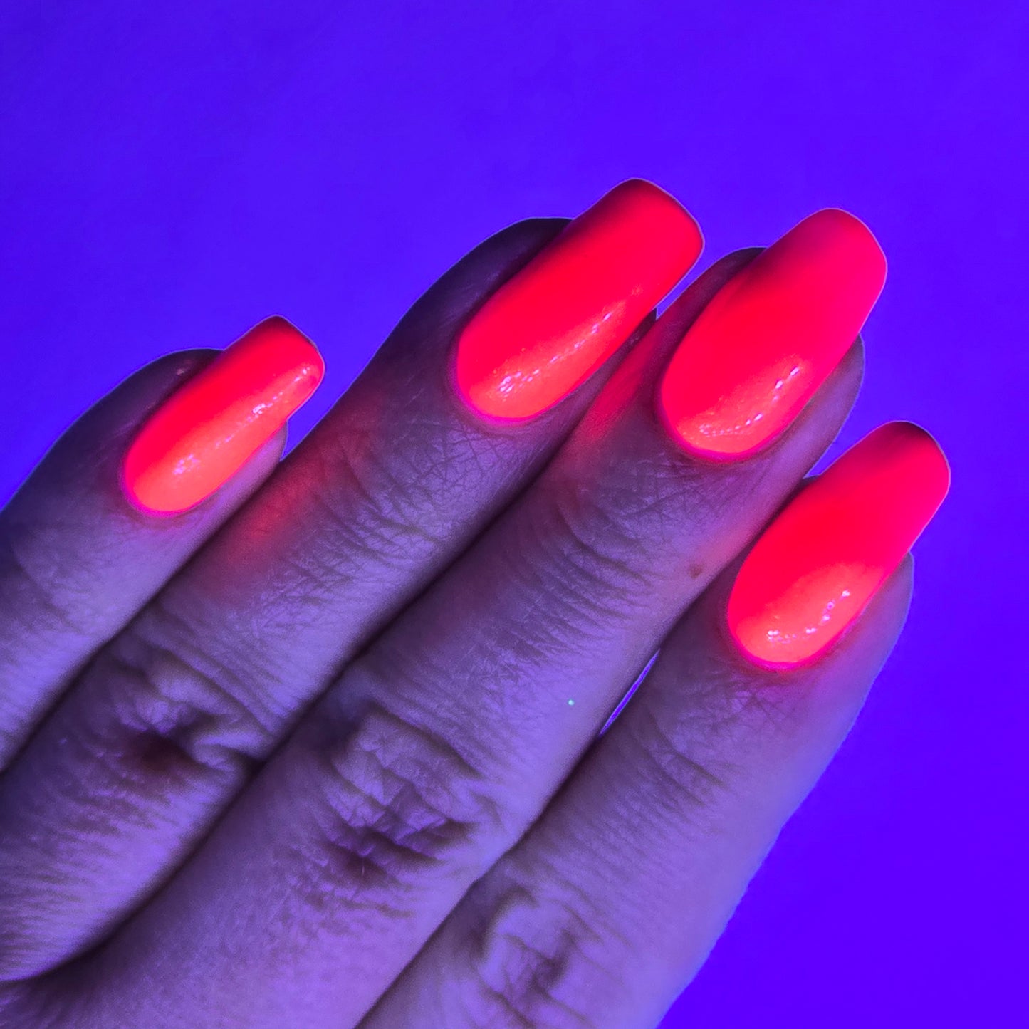 Hot Cordyceps Summer