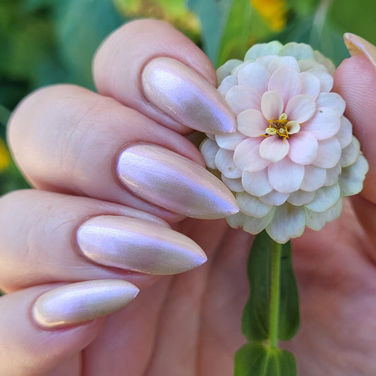 Had Too Much Fun-Nel Cake