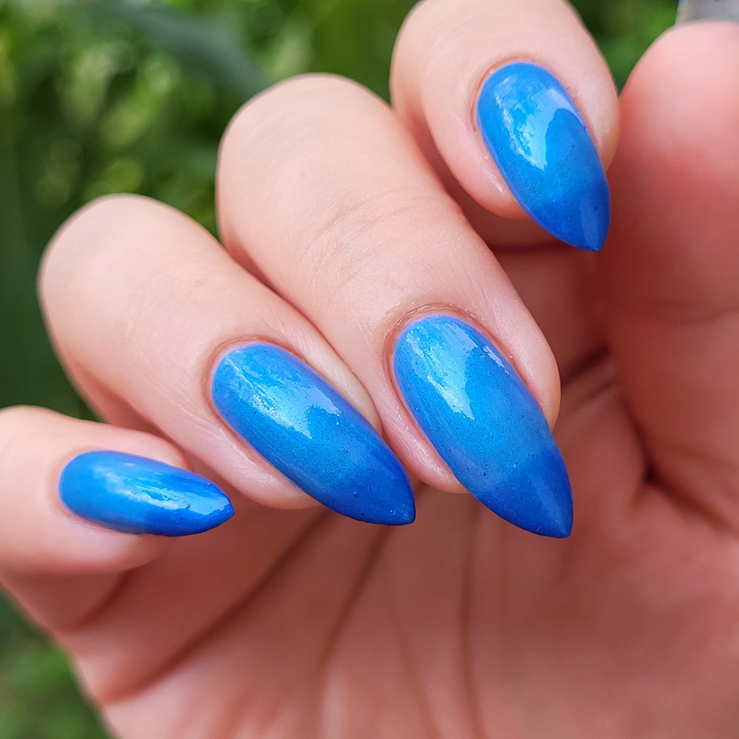Blueberry Pie (thermal)