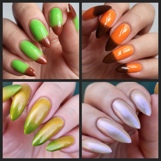 Fall Harvest Festival Starter Pack