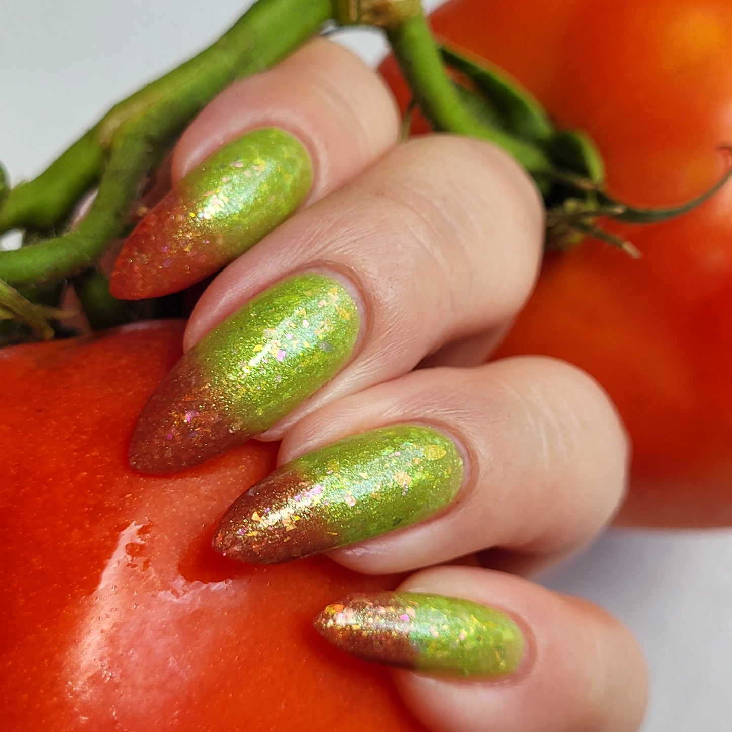 Vine Fresh Tomato (thermal)