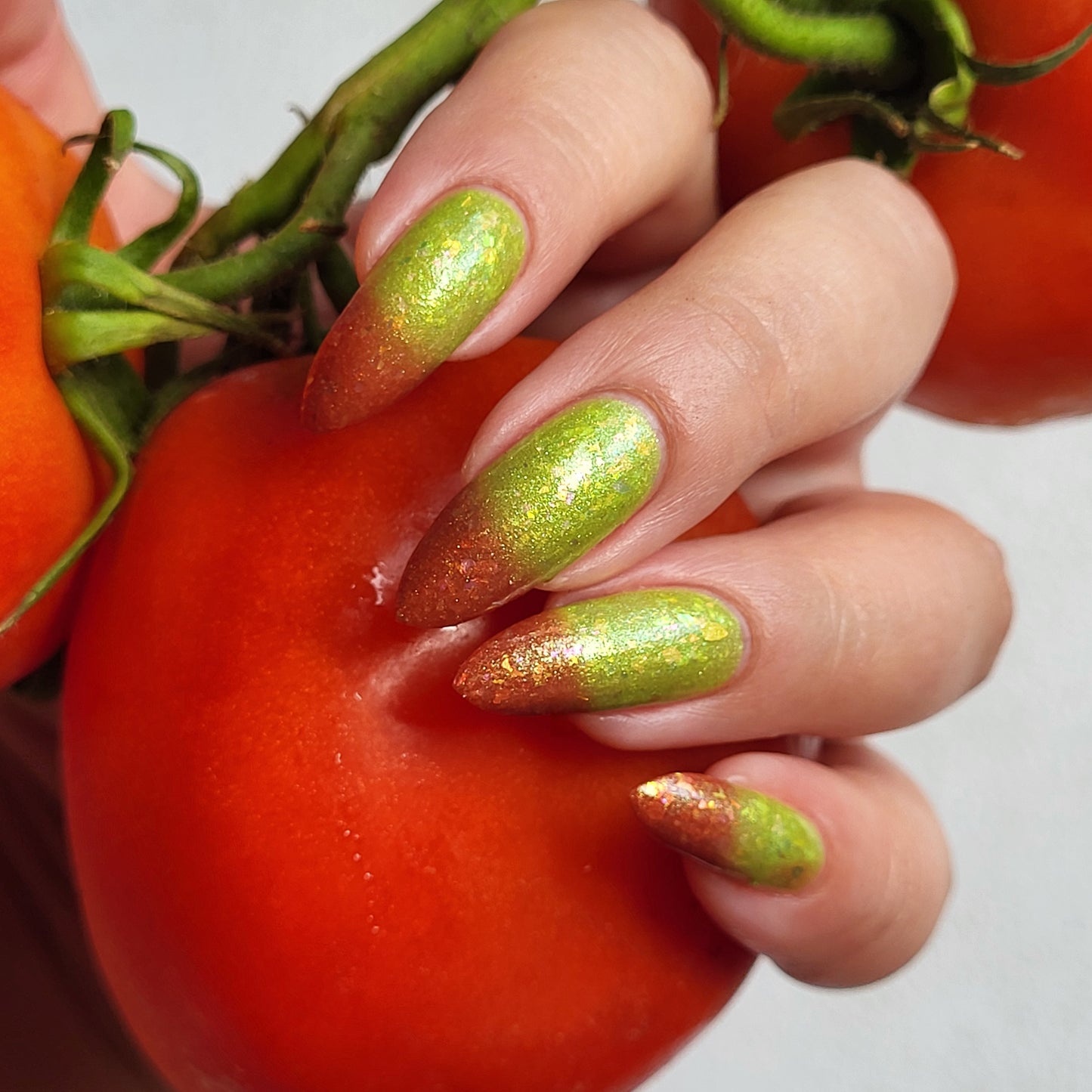 Vine Fresh Tomato (thermal)