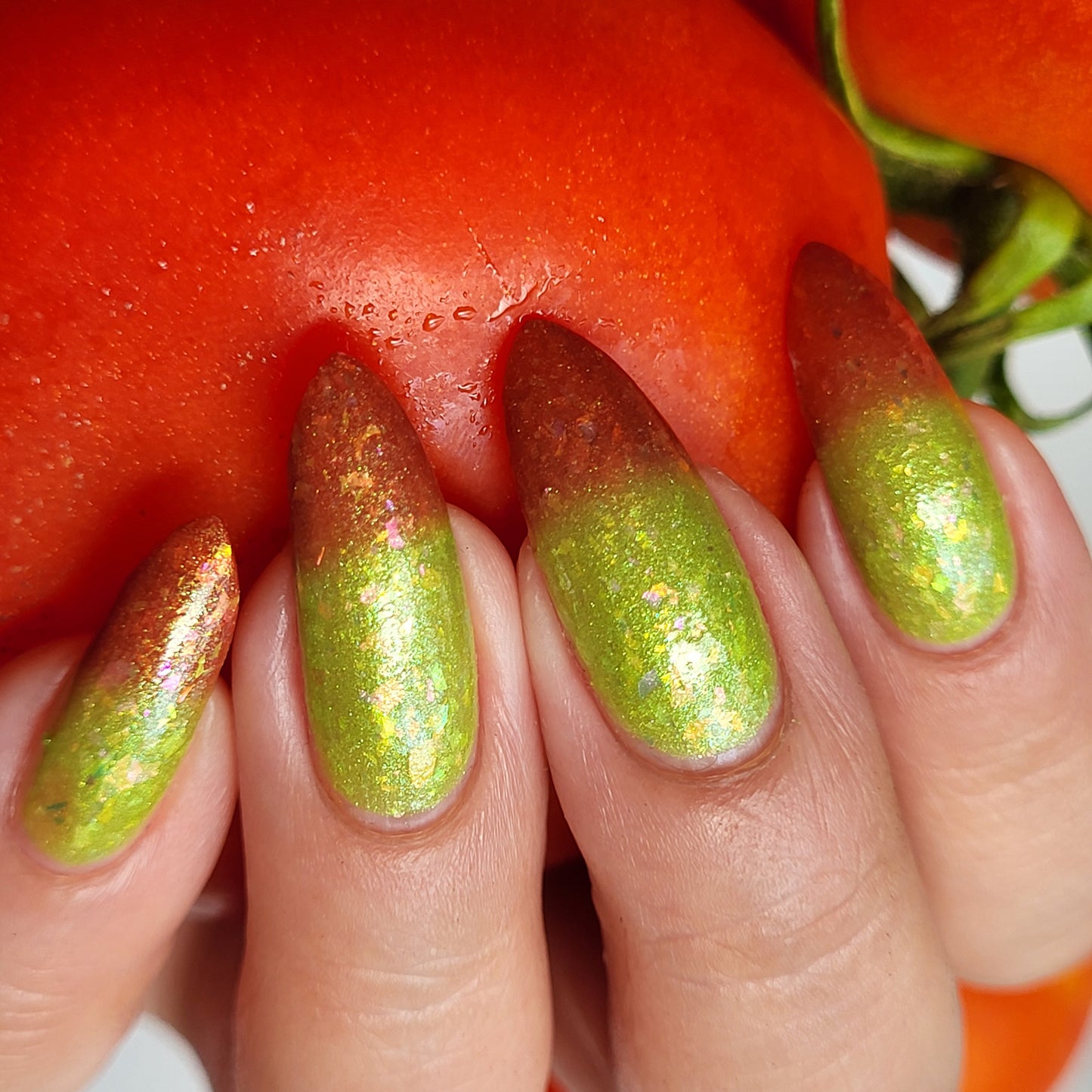 Vine Fresh Tomato (thermal)