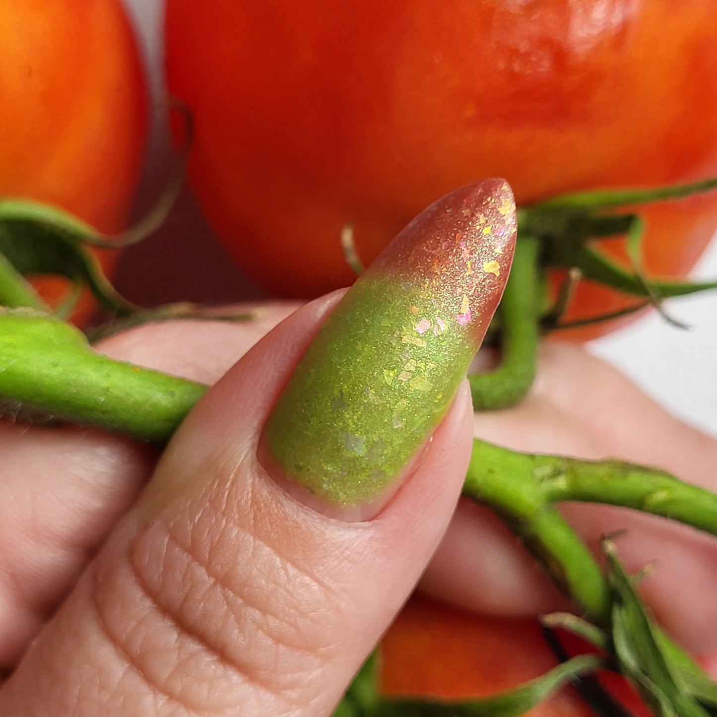 Vine Fresh Tomato (thermal)