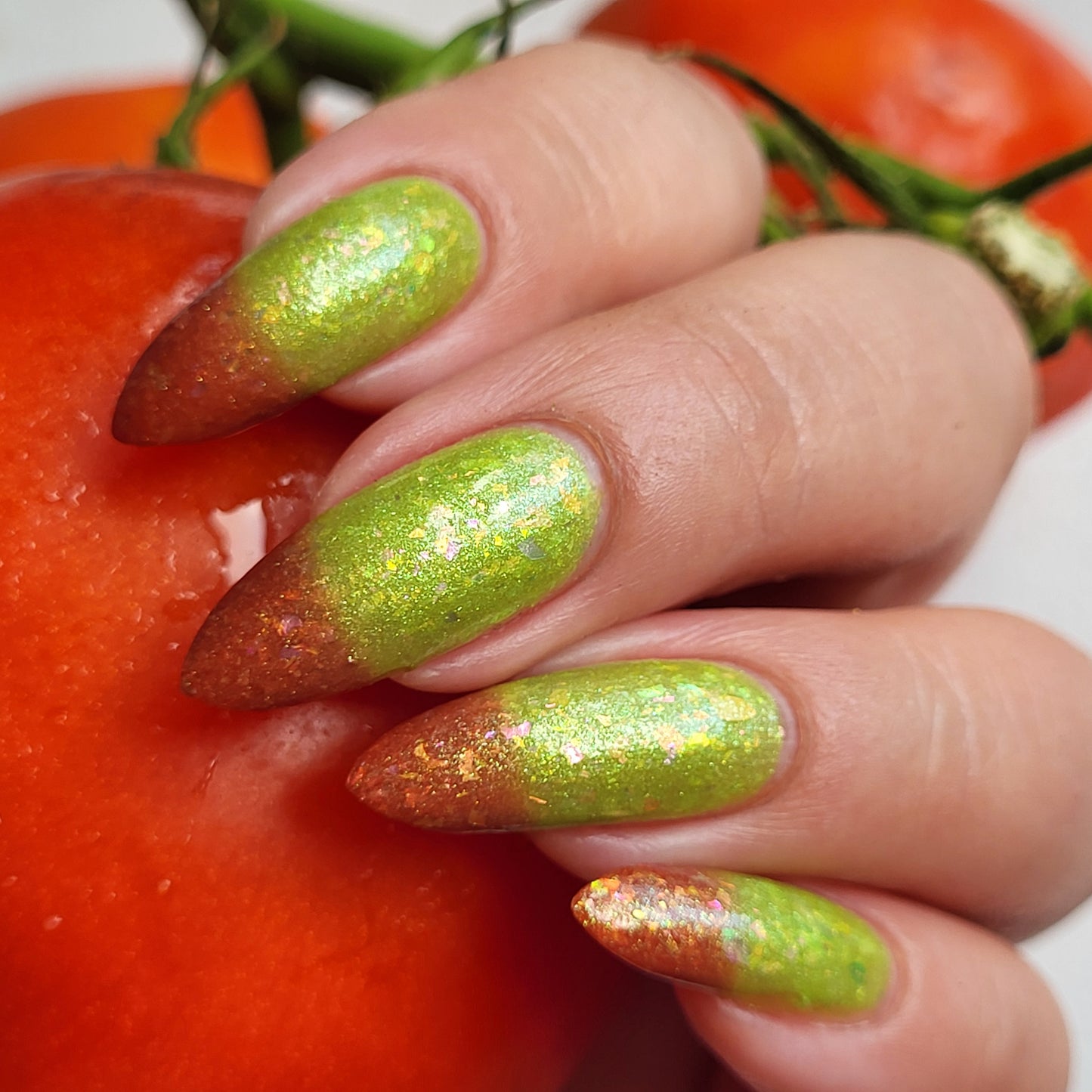 Vine Fresh Tomato (thermal)