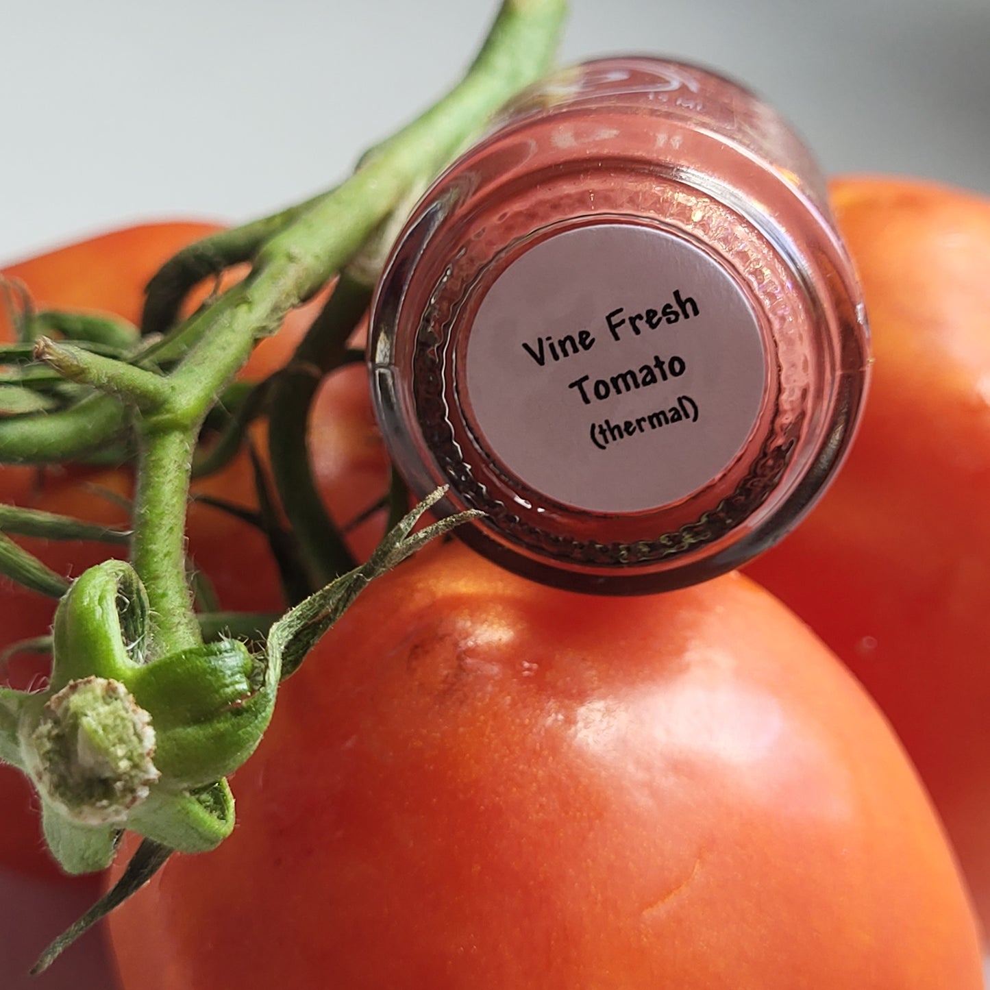 Vine Fresh Tomato (thermal)