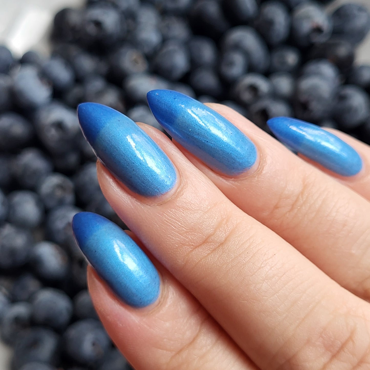 Blueberry Pie (thermal)