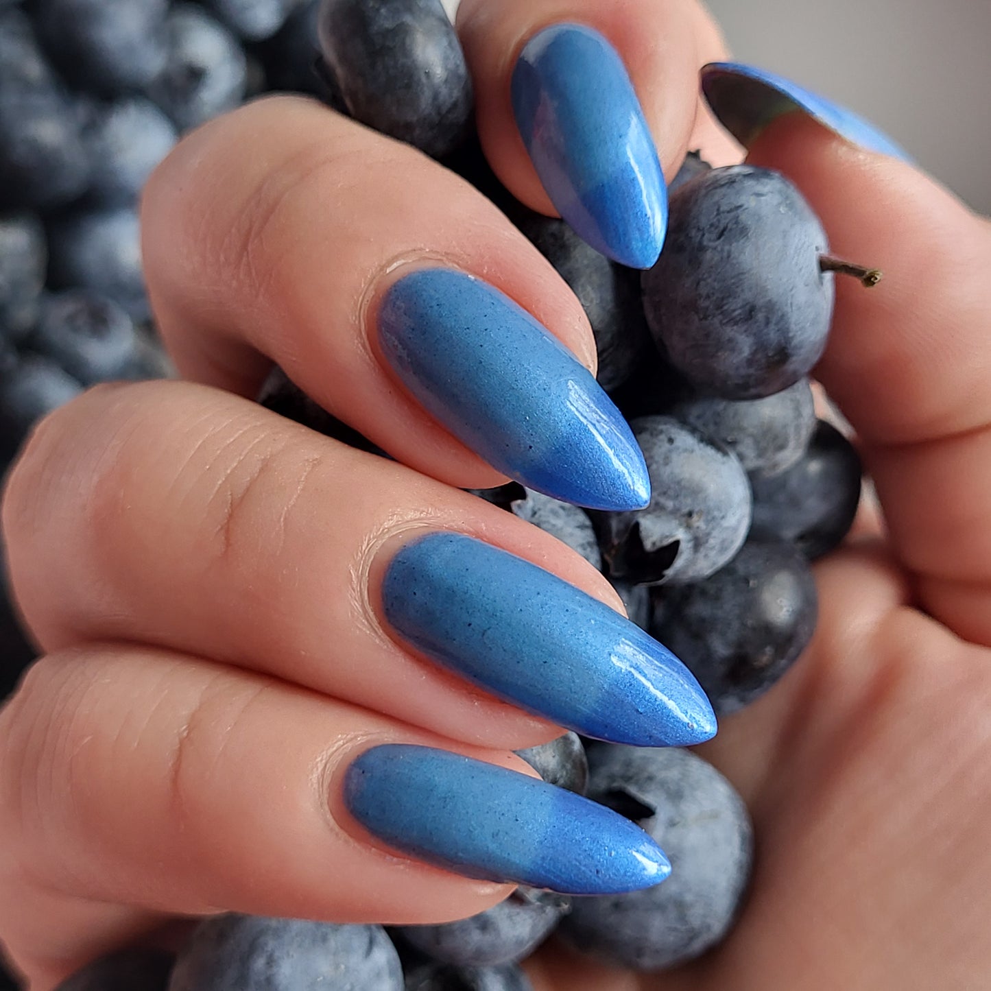 Blueberry Pie (thermal)