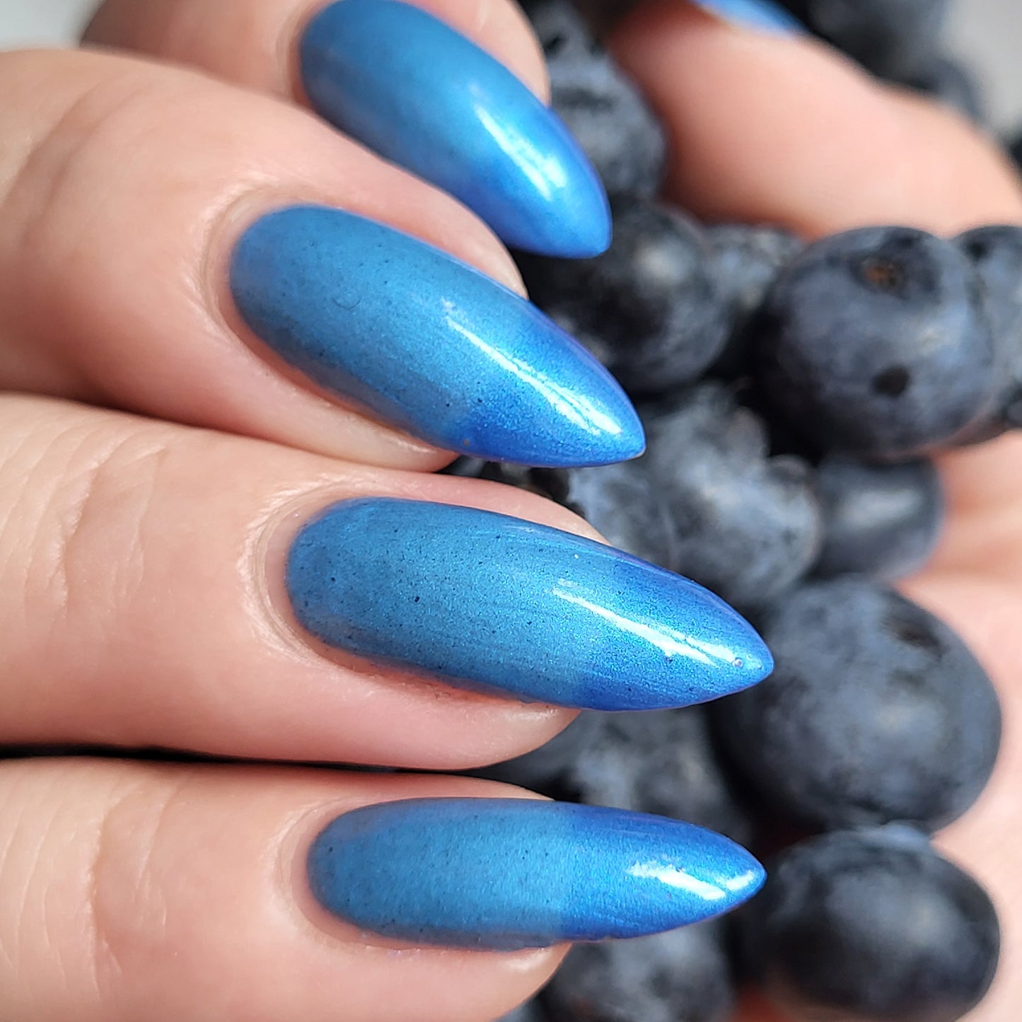 Blueberry Pie (thermal)