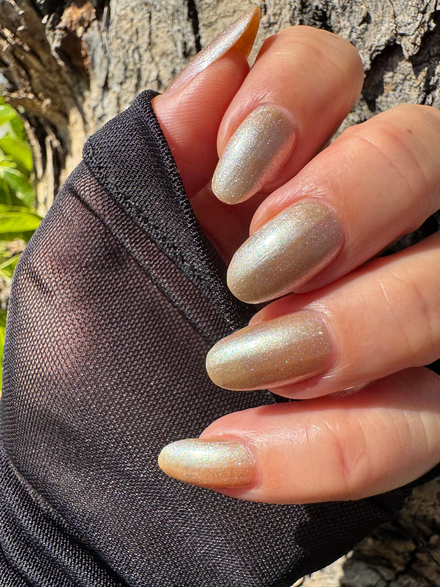 Last Of Them - Nothing Left Behind Bundle