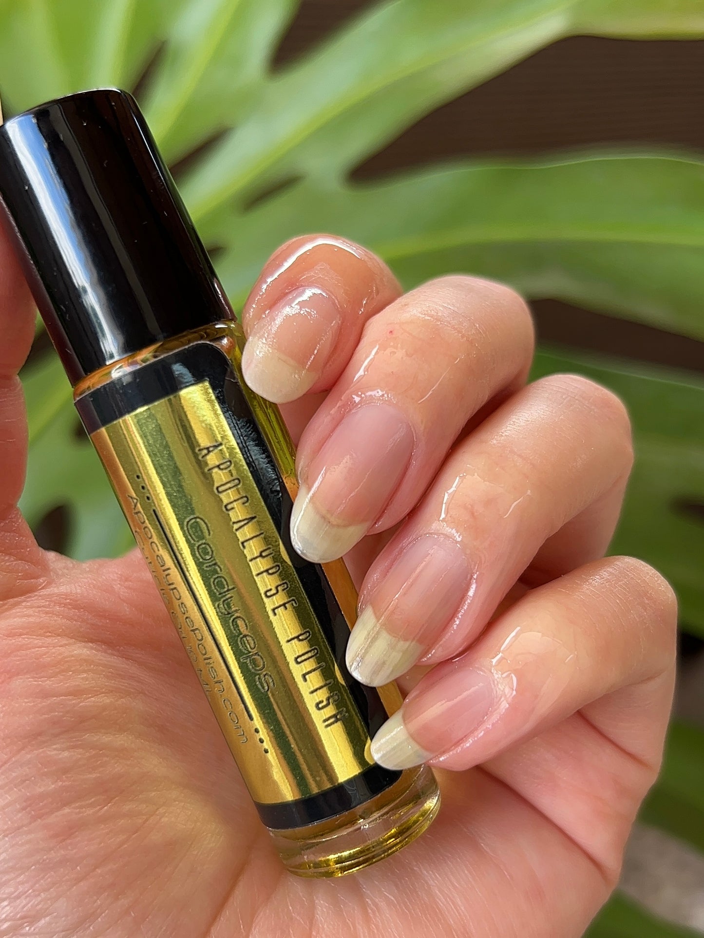 Cordyceps Cuticle Oil