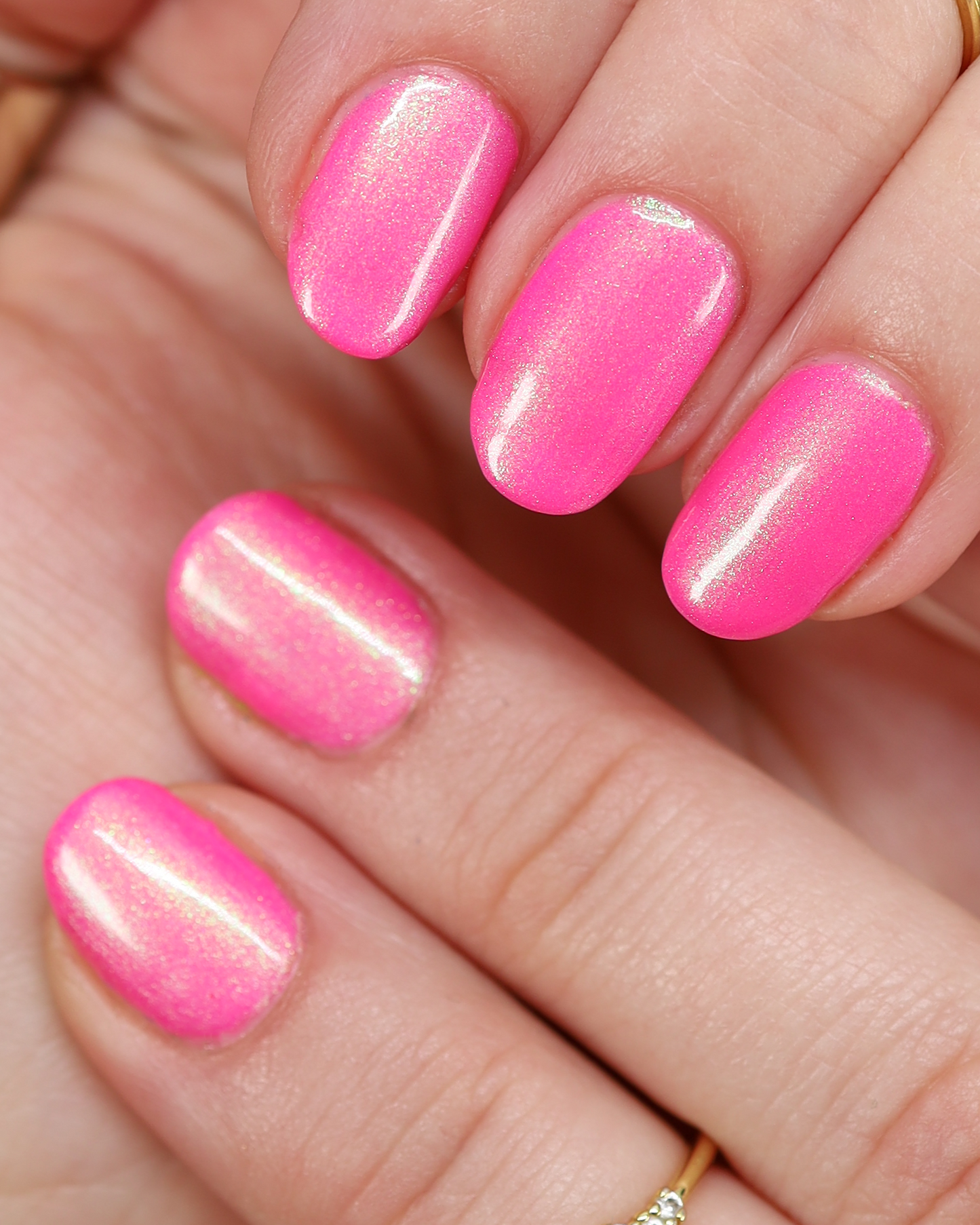 Hot Cordyceps Summer