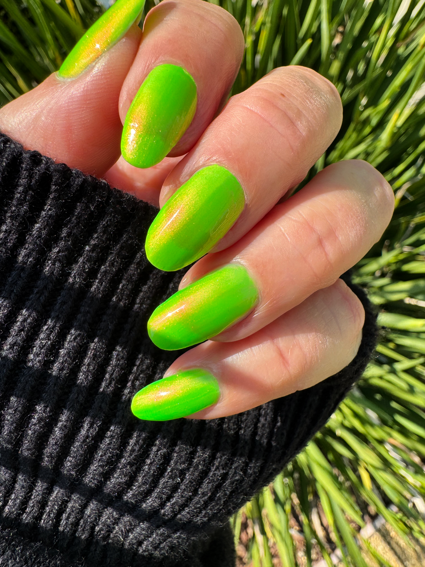 Making Apocalypse Jokes Like There's No Tomorrow