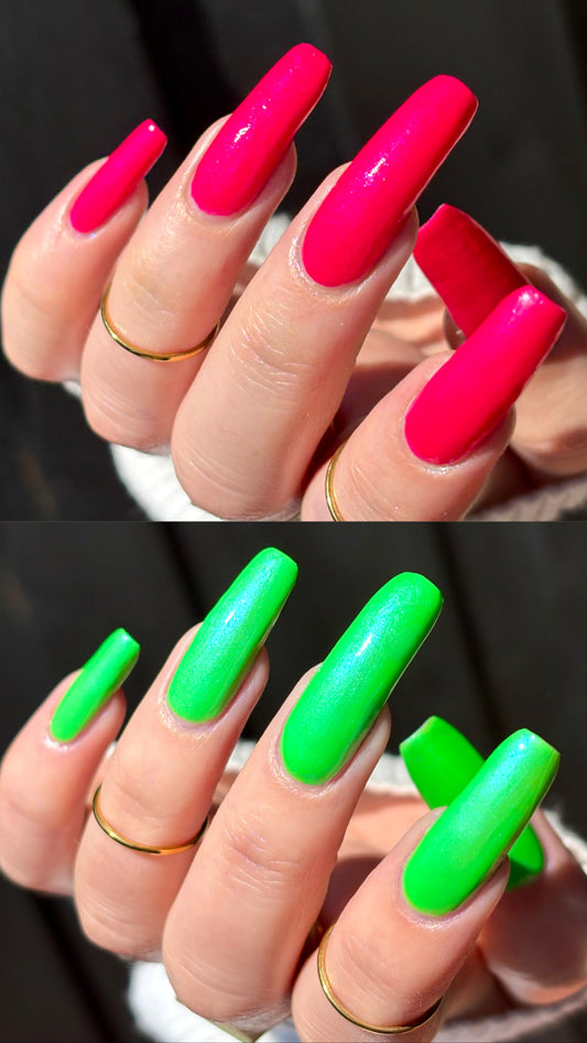 Octopus Games Duo Bundle