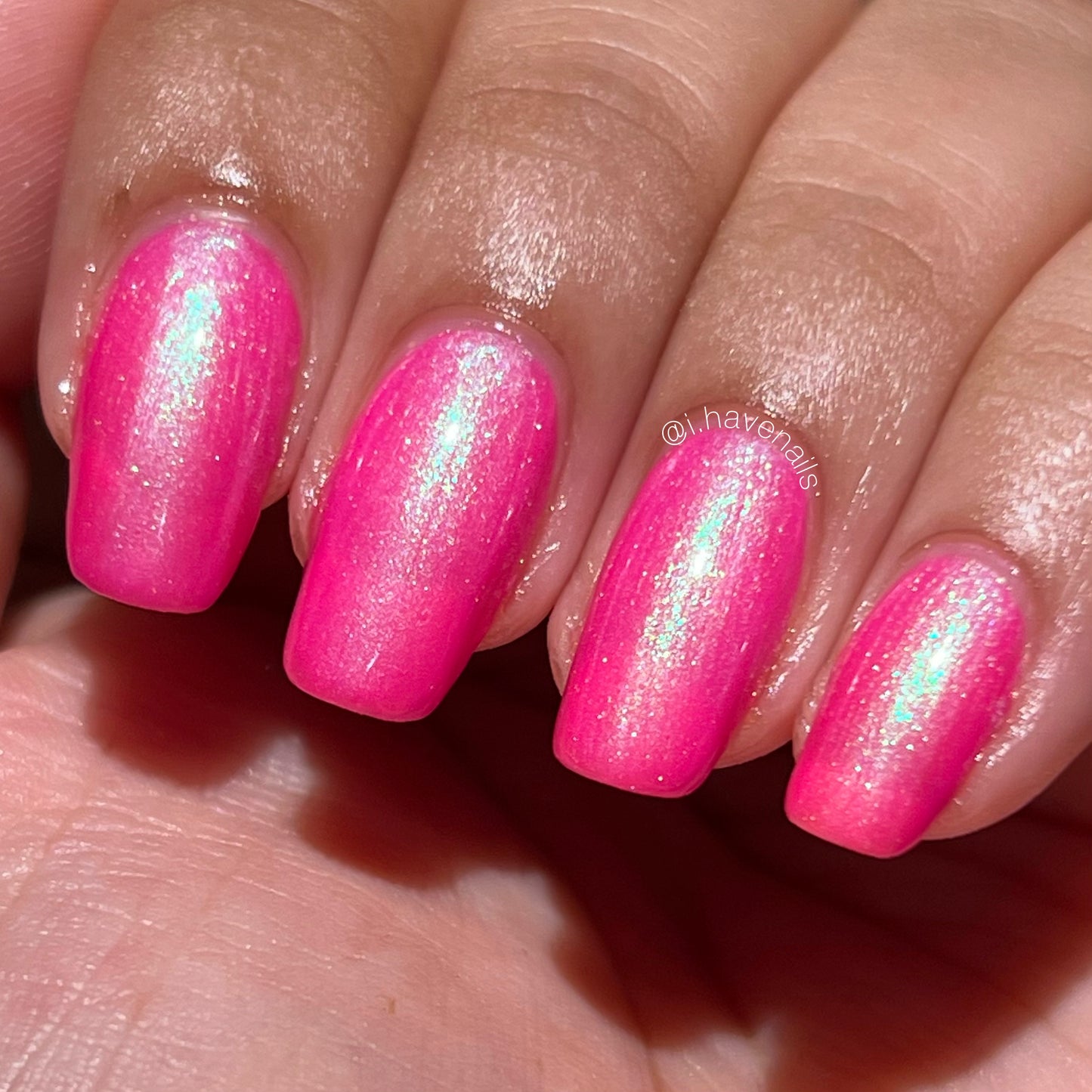 Hot Cordyceps Summer