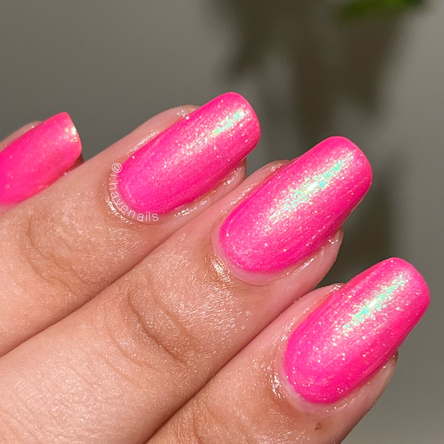 Hot Cordyceps Summer