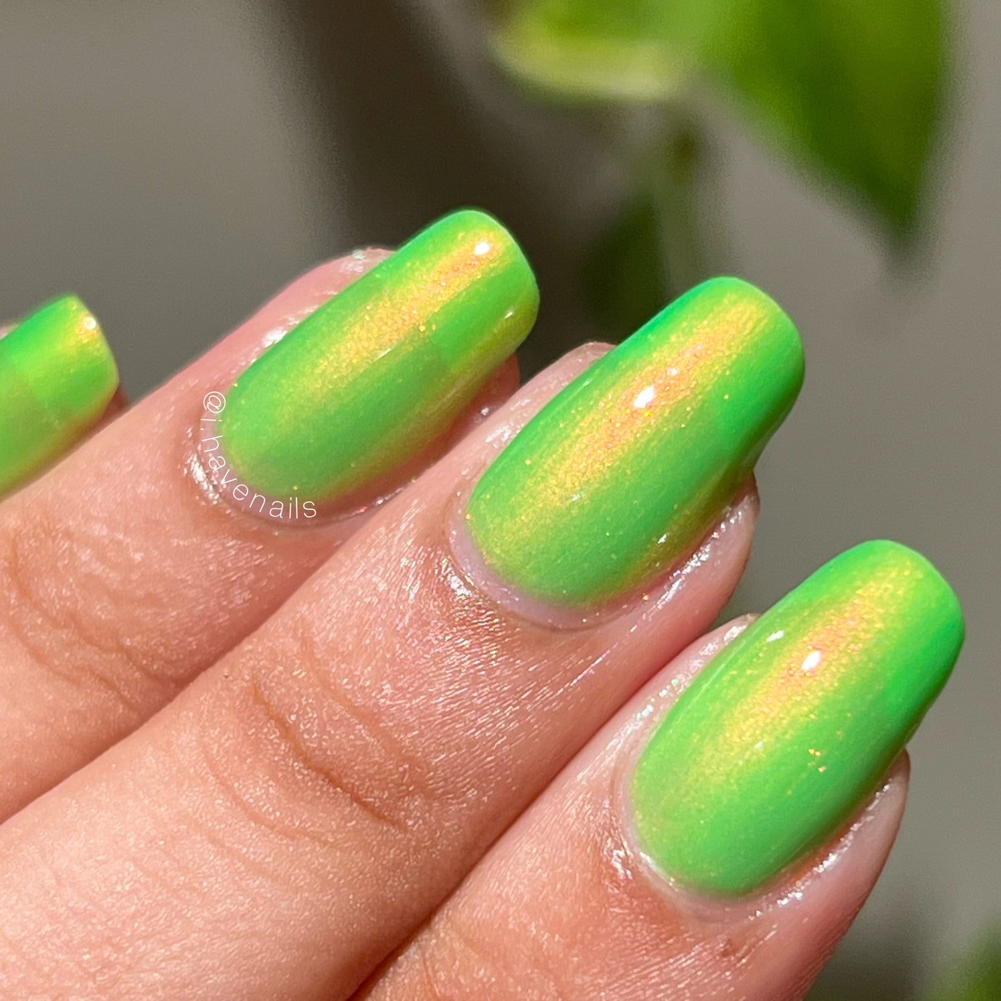 Making Apocalypse Jokes Like There's No Tomorrow