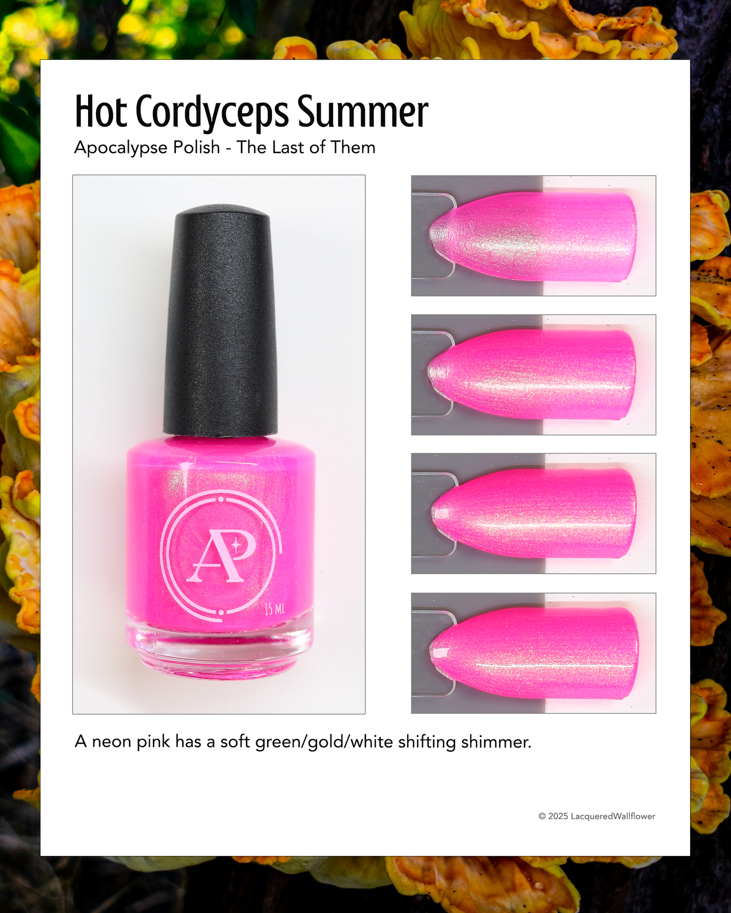 Hot Cordyceps Summer