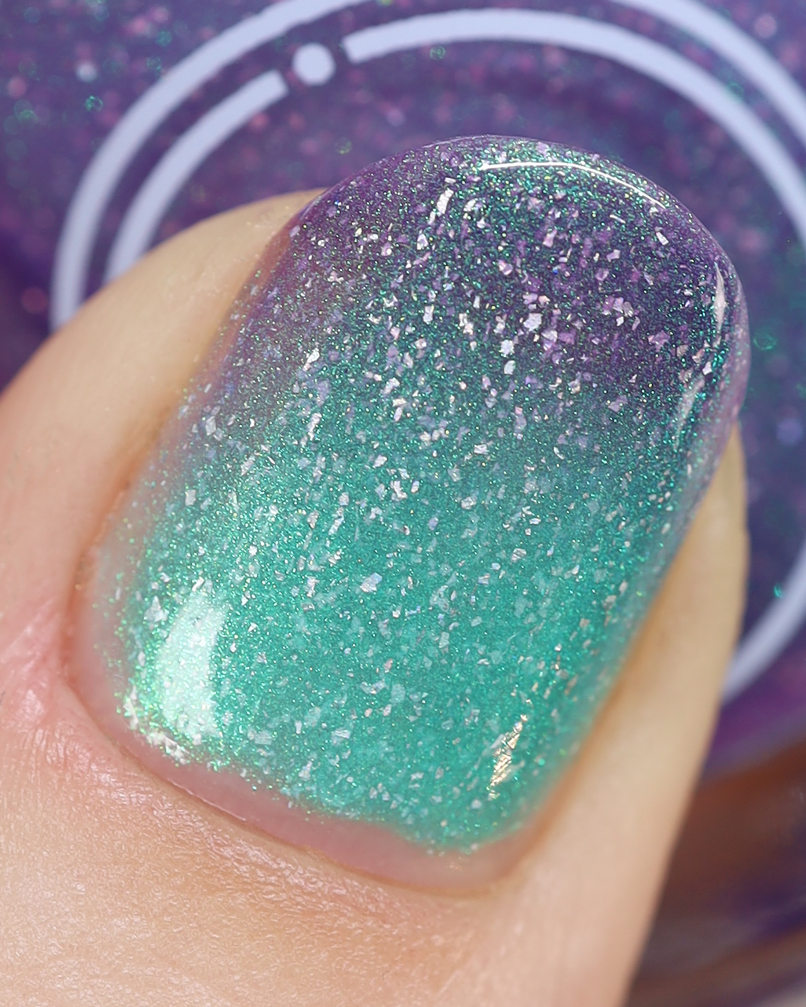 Last Of Them - Nothing Left Behind Bundle