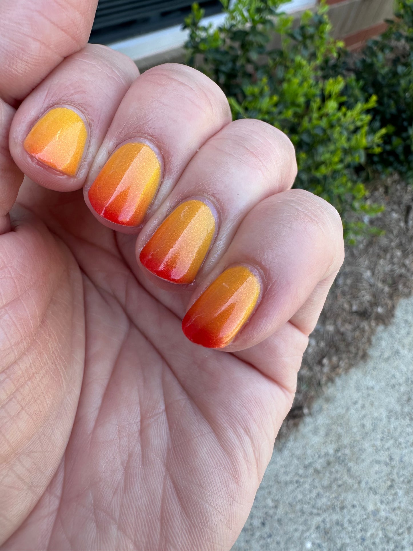 Well Hot Dog! (thermal)