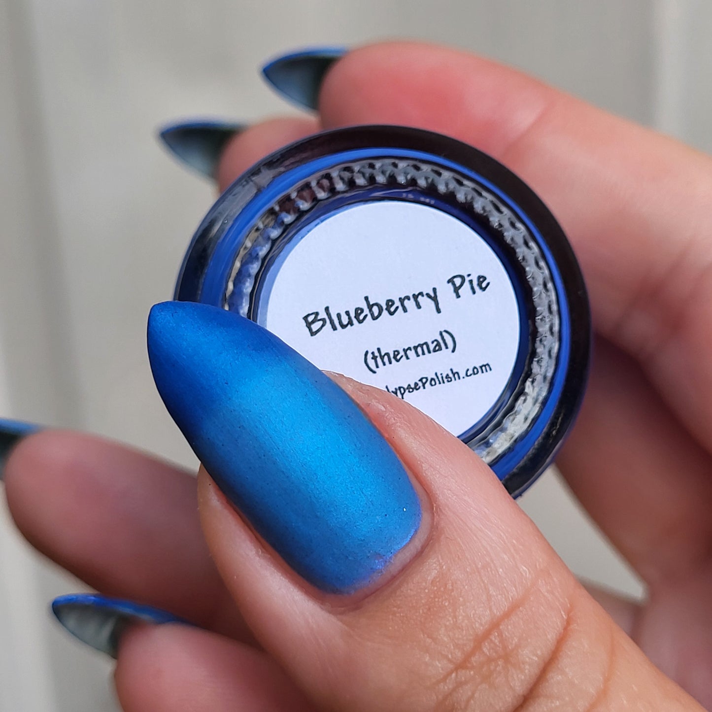 Blueberry Pie (thermal)