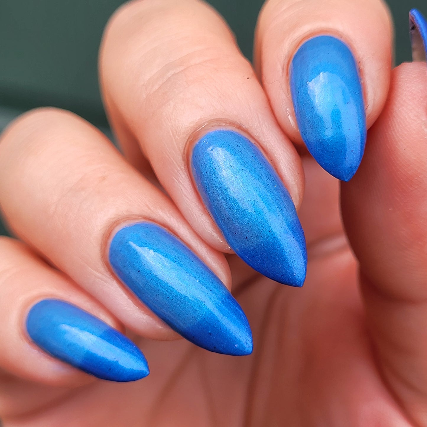 Blueberry Pie (thermal)