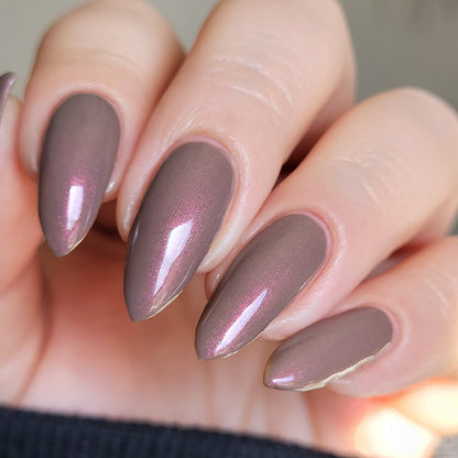 Chocolate Covered Strawberries