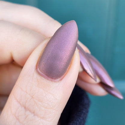 Chocolate Covered Strawberries