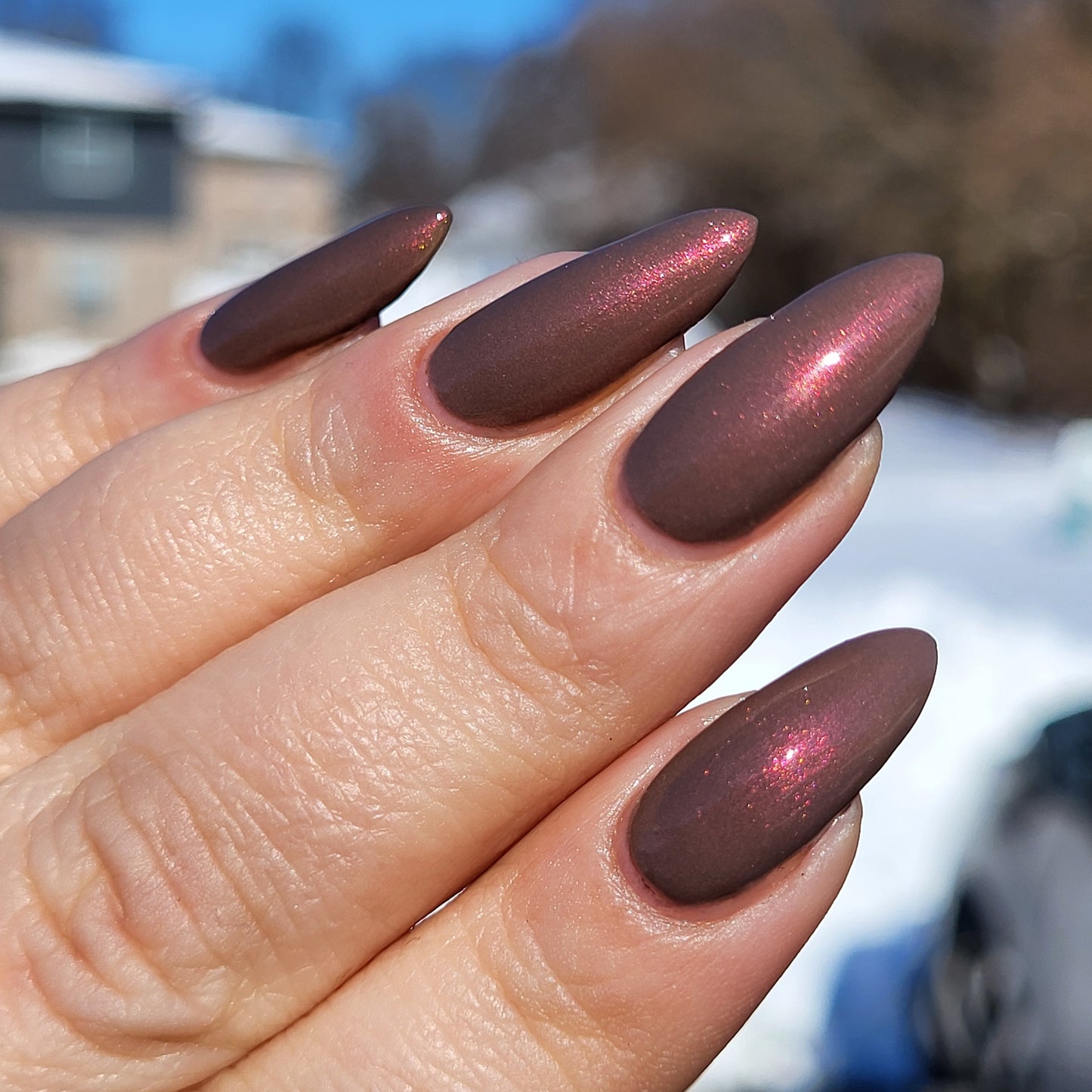 Chocolate Covered Strawberries