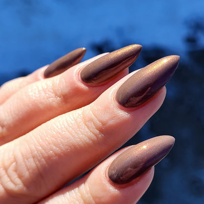 Chocolate Covered Strawberries