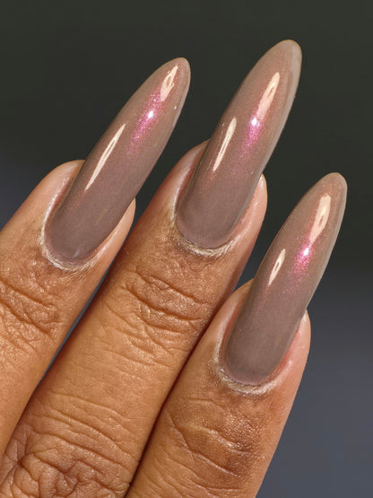 Chocolate Covered Strawberries