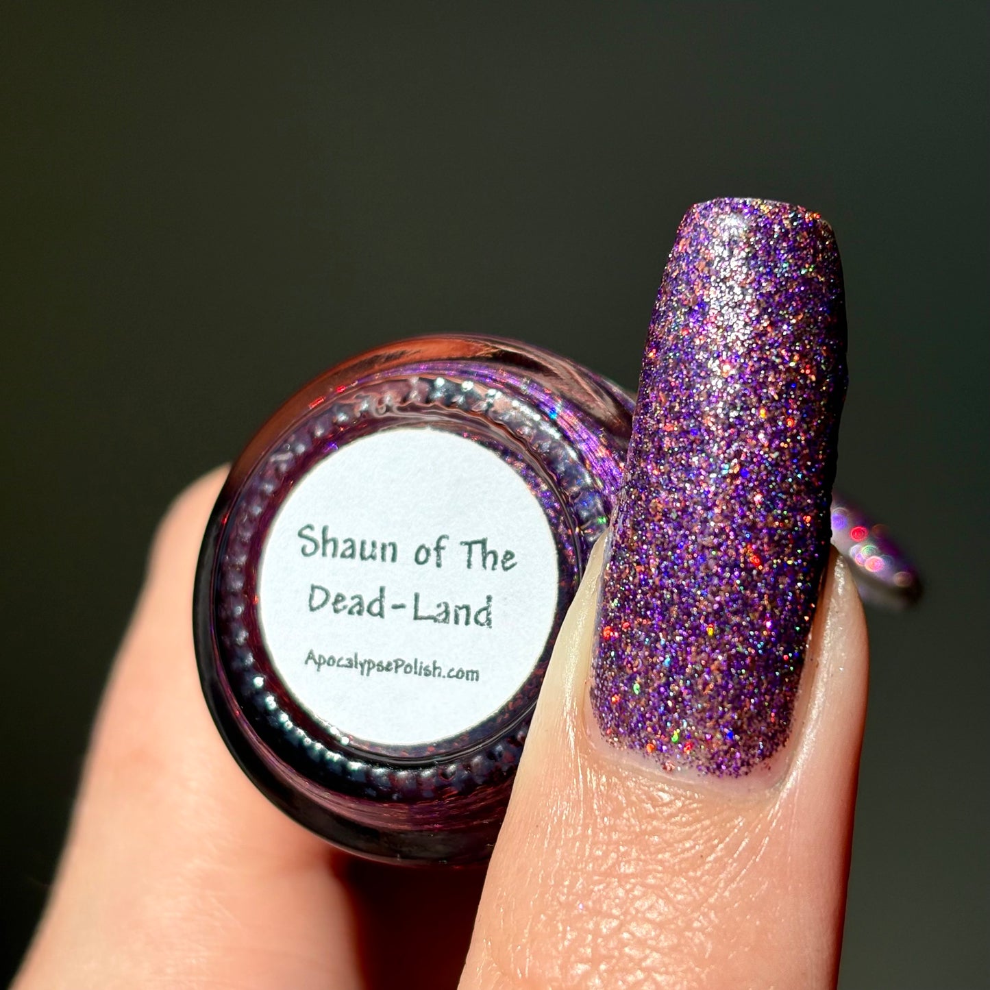 Shaun Of The Dead-Land - Releases 09/19/25