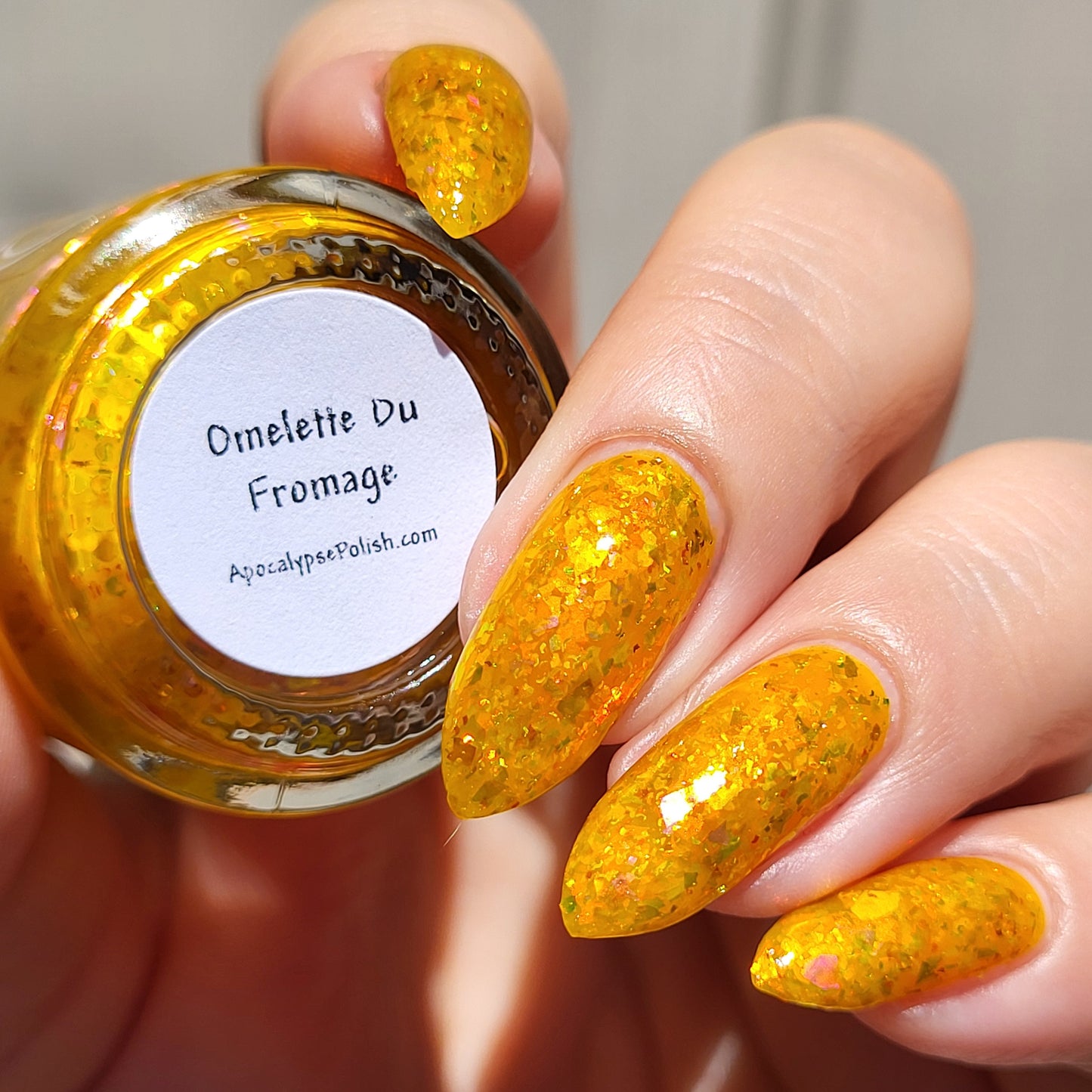 Omelette Du Fromage - Releases 06/05/26