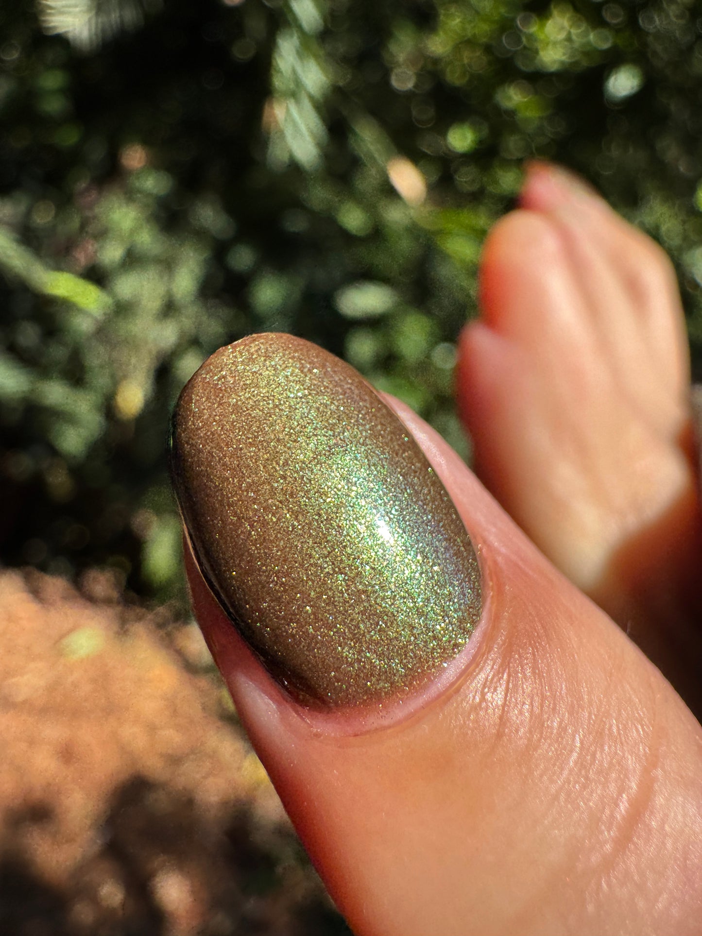 Surprisingly Tiny Bigfoot