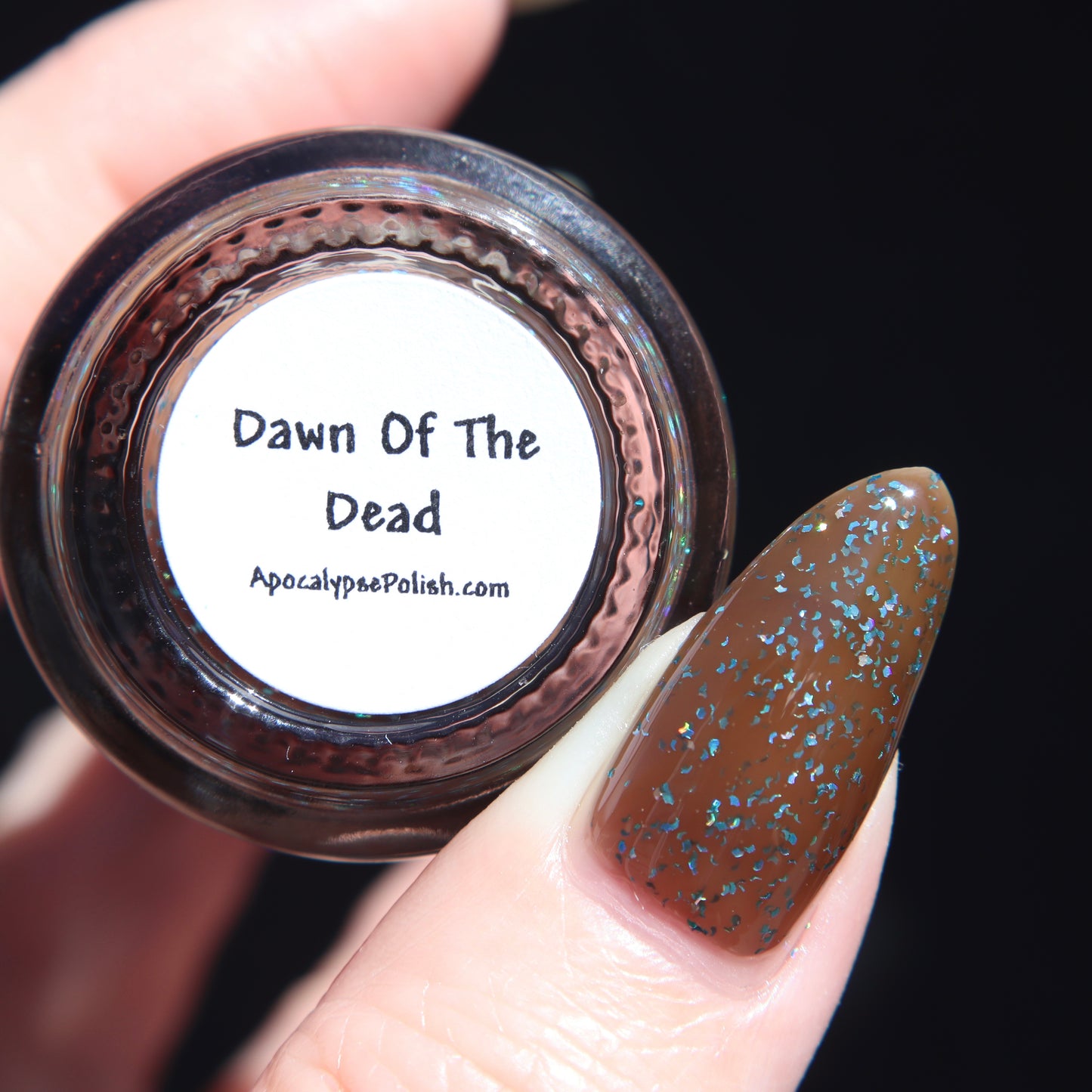 Dawn of the Dead - Releases 09/19/25